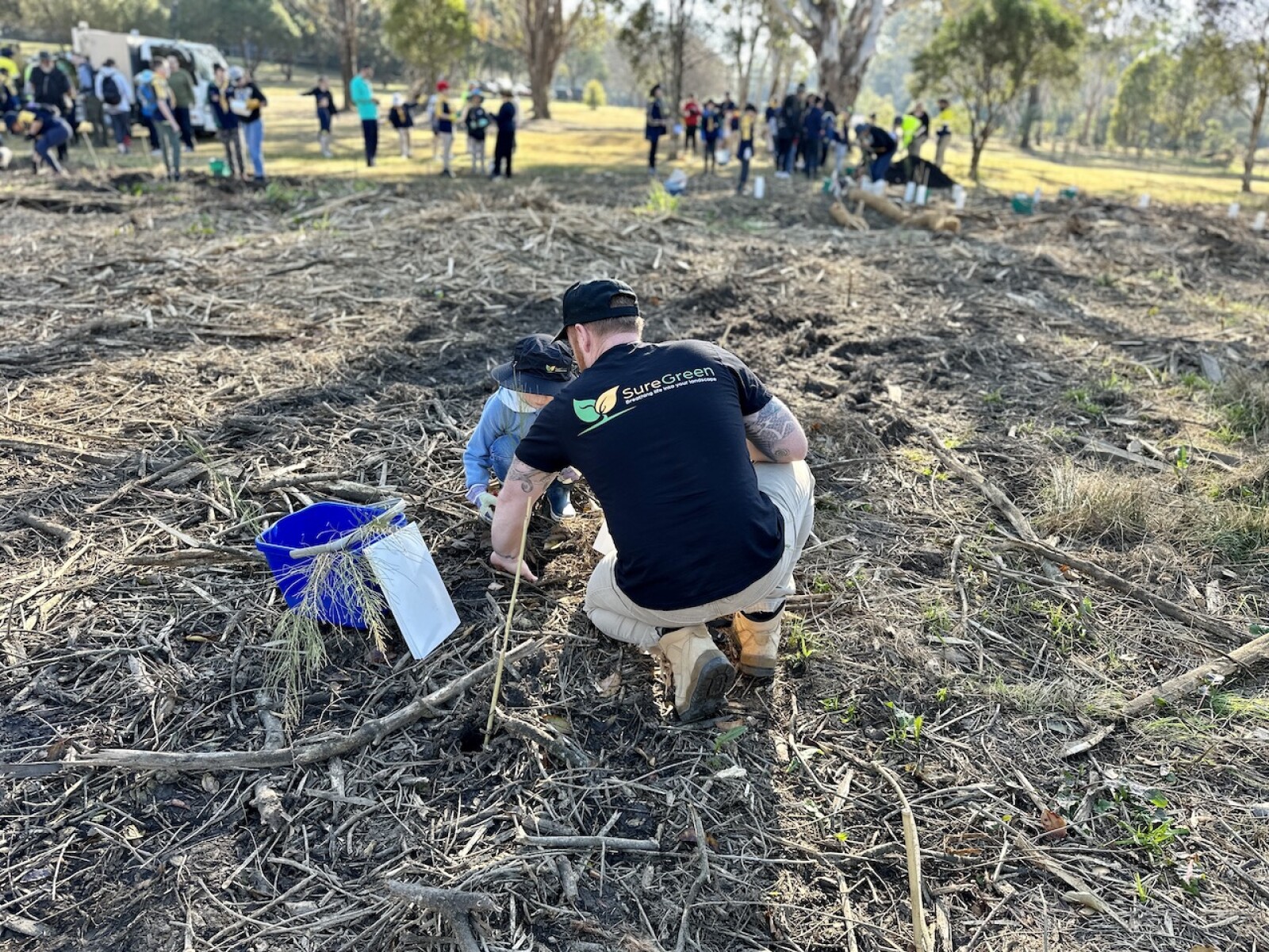 SureGreen grounds maintenance innovations national tree day