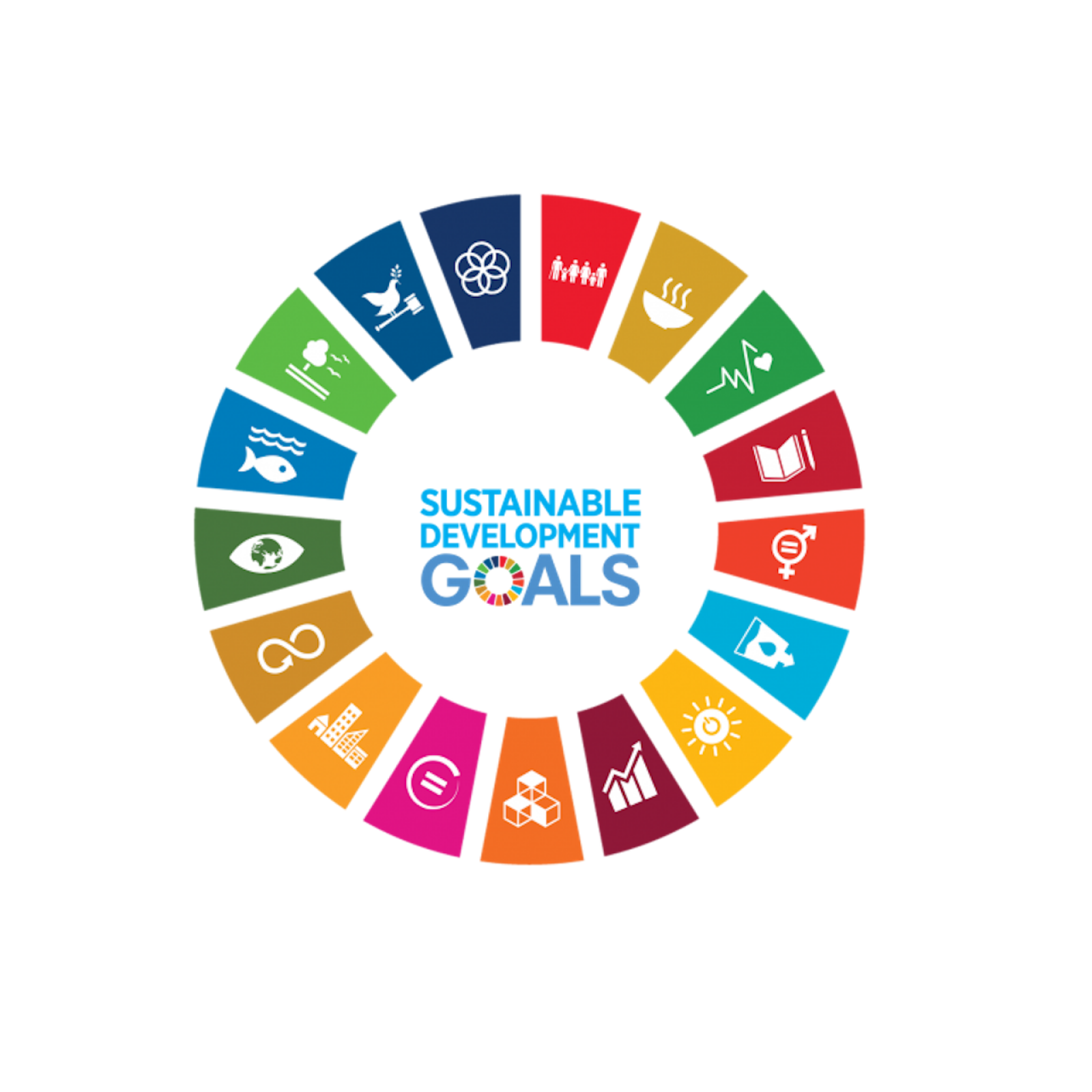 SDG logo