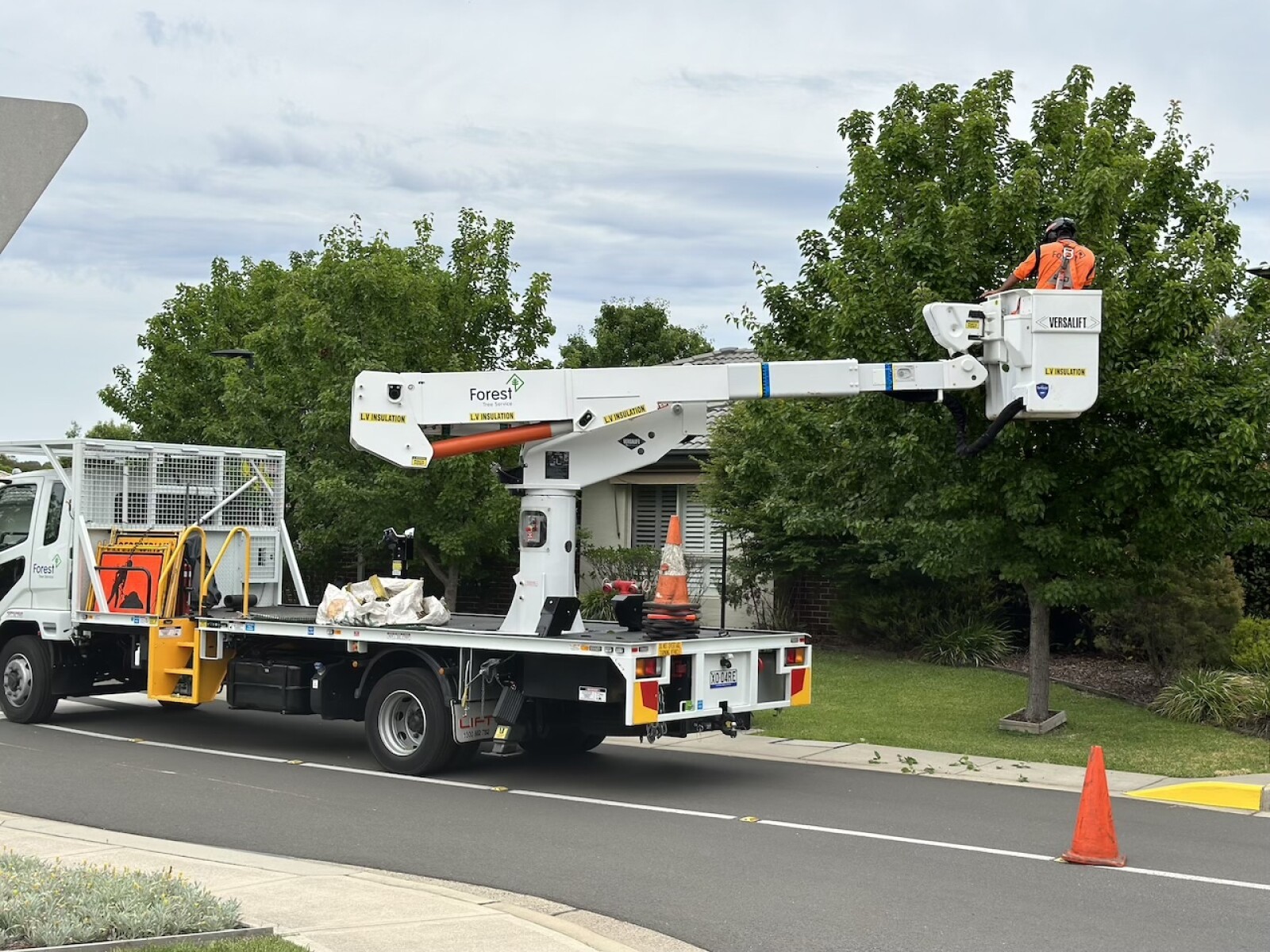 SureGreen Tree Care - Cherry Picker